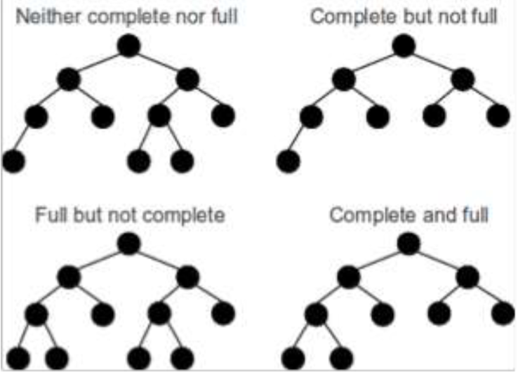 complete tree